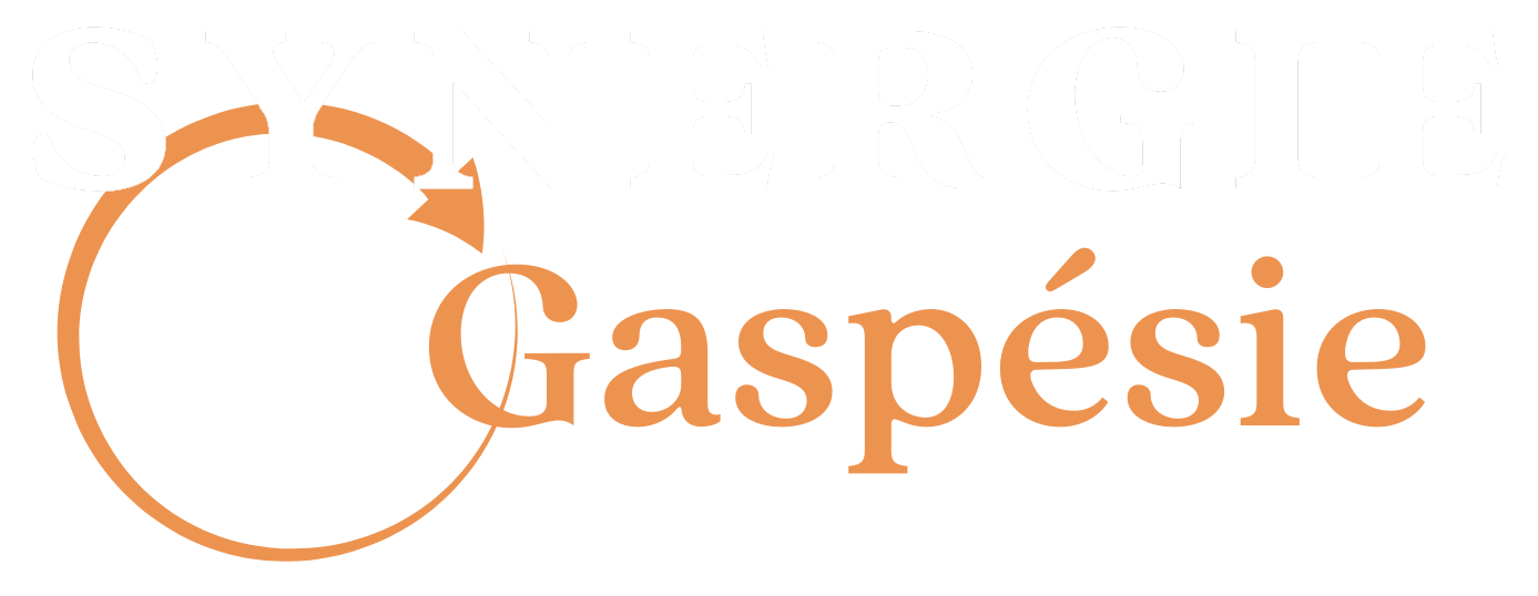 Logo - Synergy Gaspésie